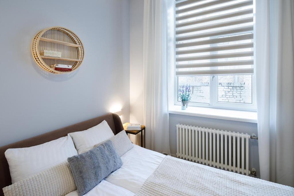 Kalnina Street Apartment *