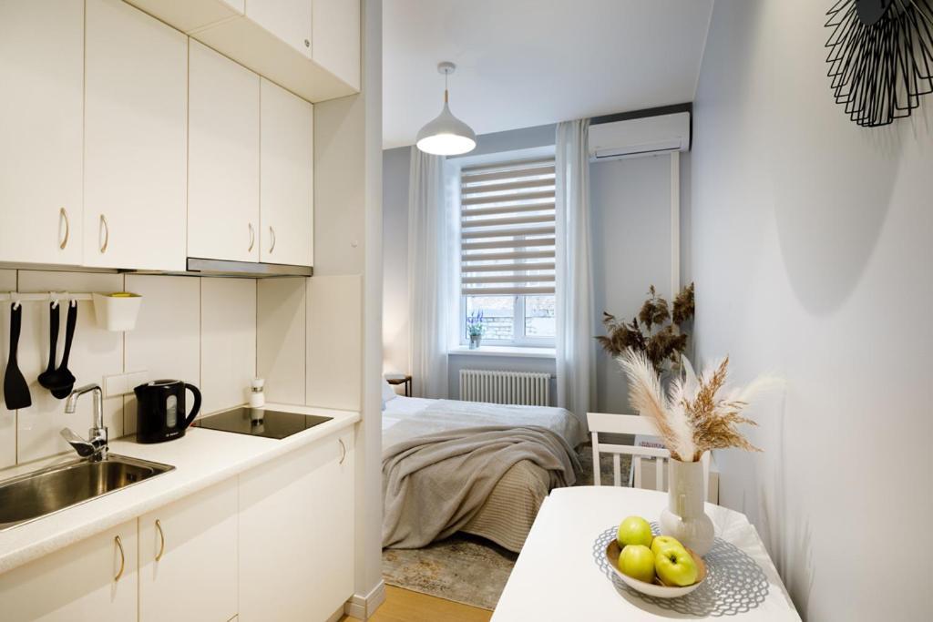 Kalnina Street Apartment Riga