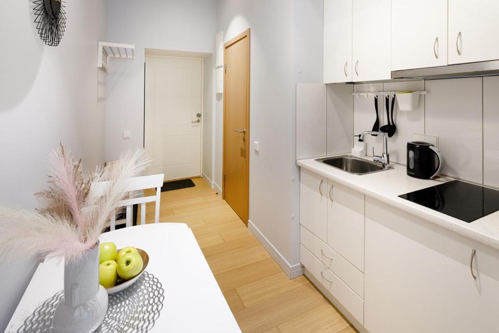 Apartment Kalnina Street *