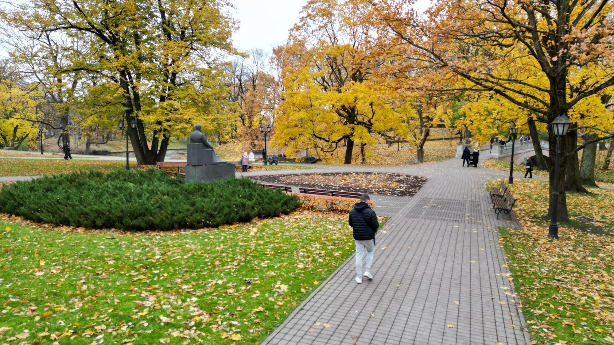 Baltic Amber In Diplomatic District & Free Parking
