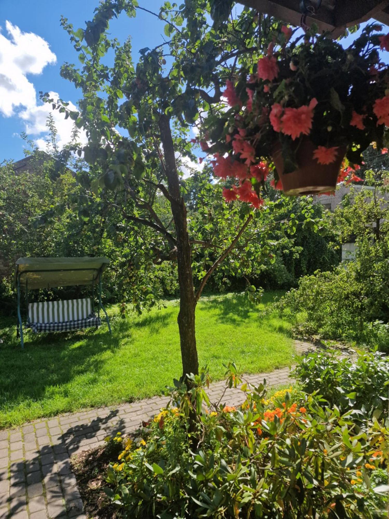 Apartment Boutigue House With Terrace And Garden Free Parking Riga
