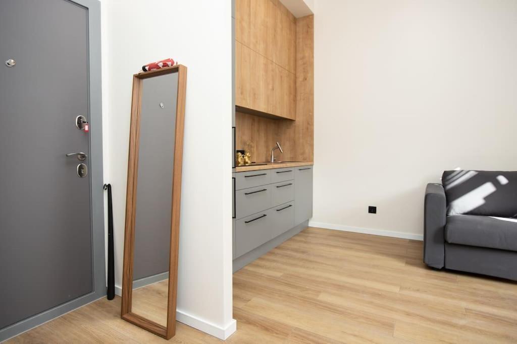 Bright And 2-room Flat Near The Old Town
