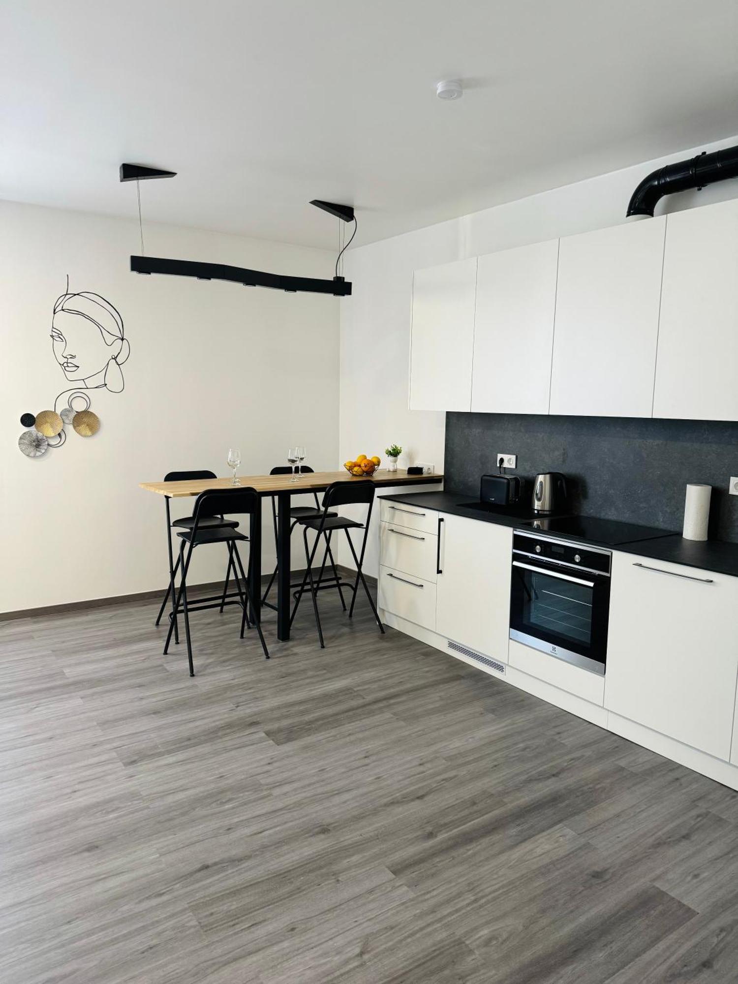 Modern Studio In Apartment Riga