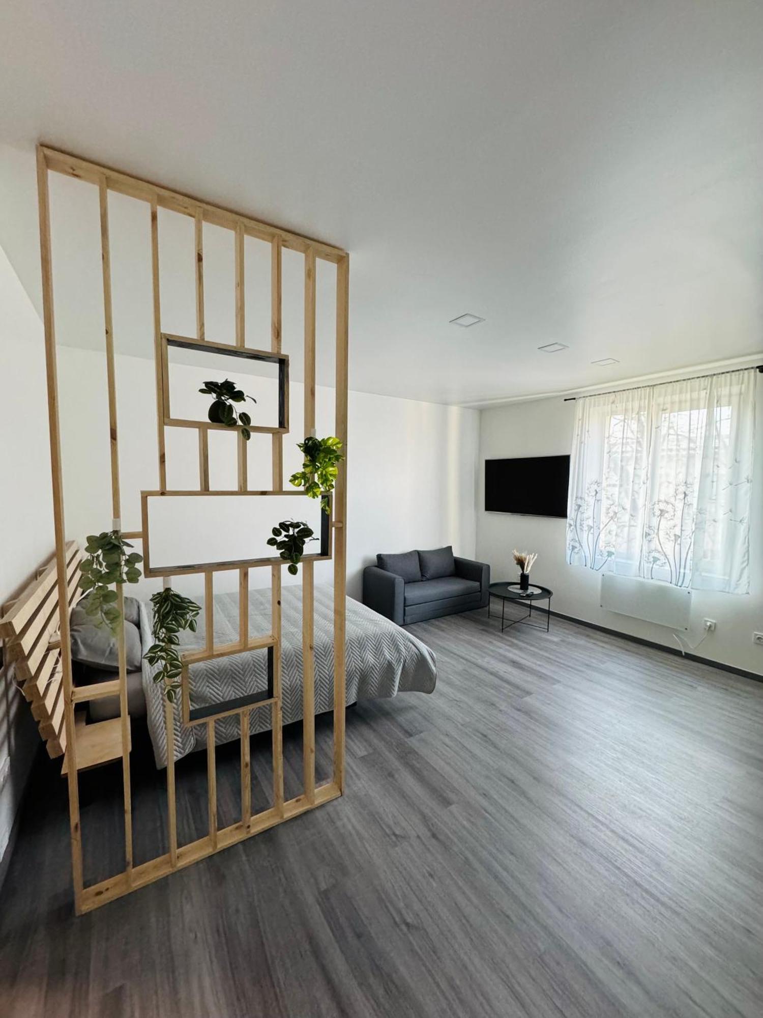 Modern Studio In Apartment Riga