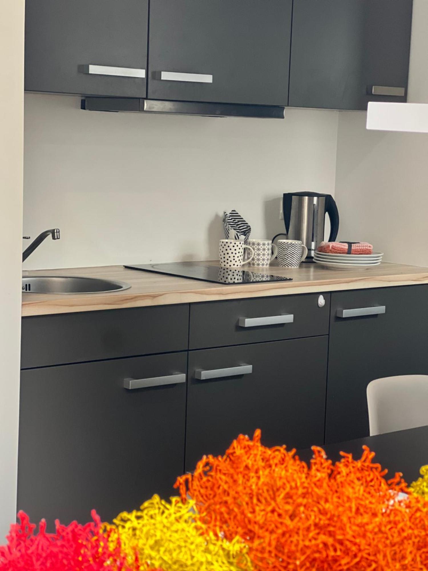 Caka80a Apartment Riga