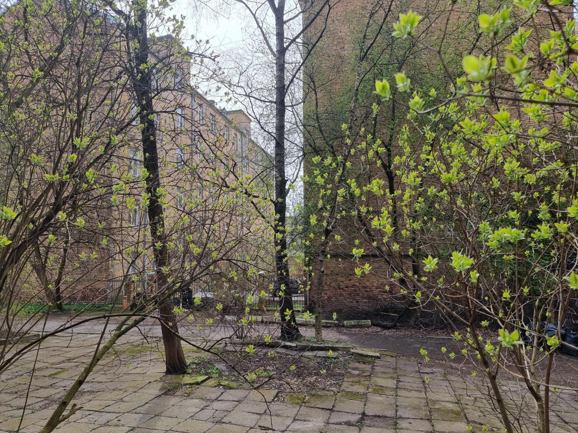 Apartment, New Renovated In Quiet Center With Balcony With Parking Riga