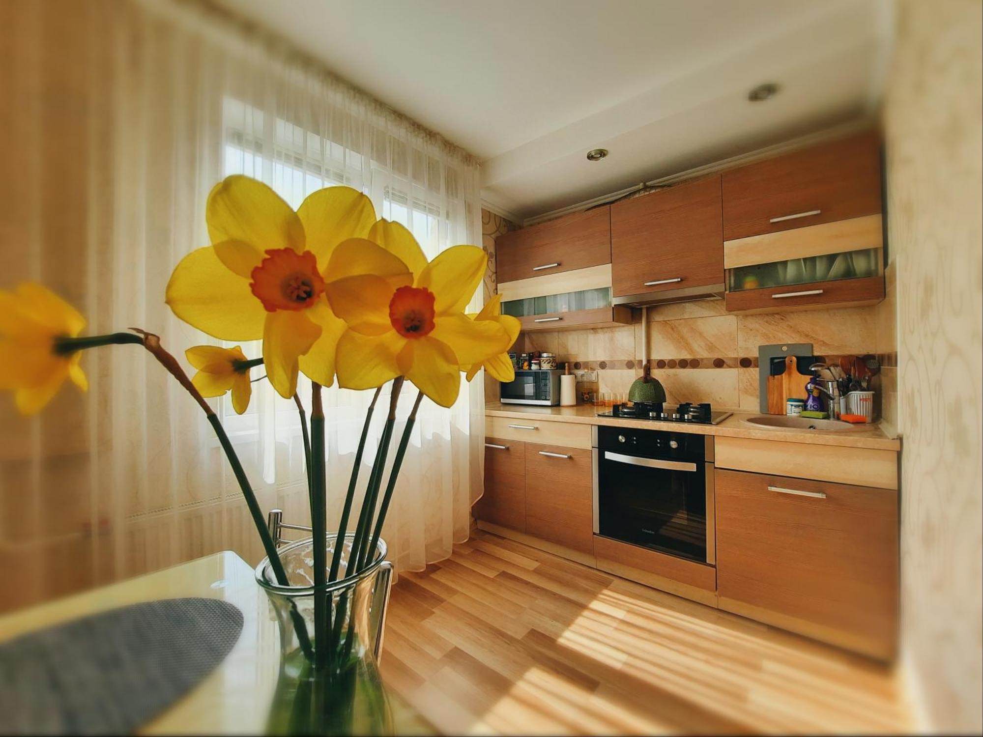 Apartment Dzenu *