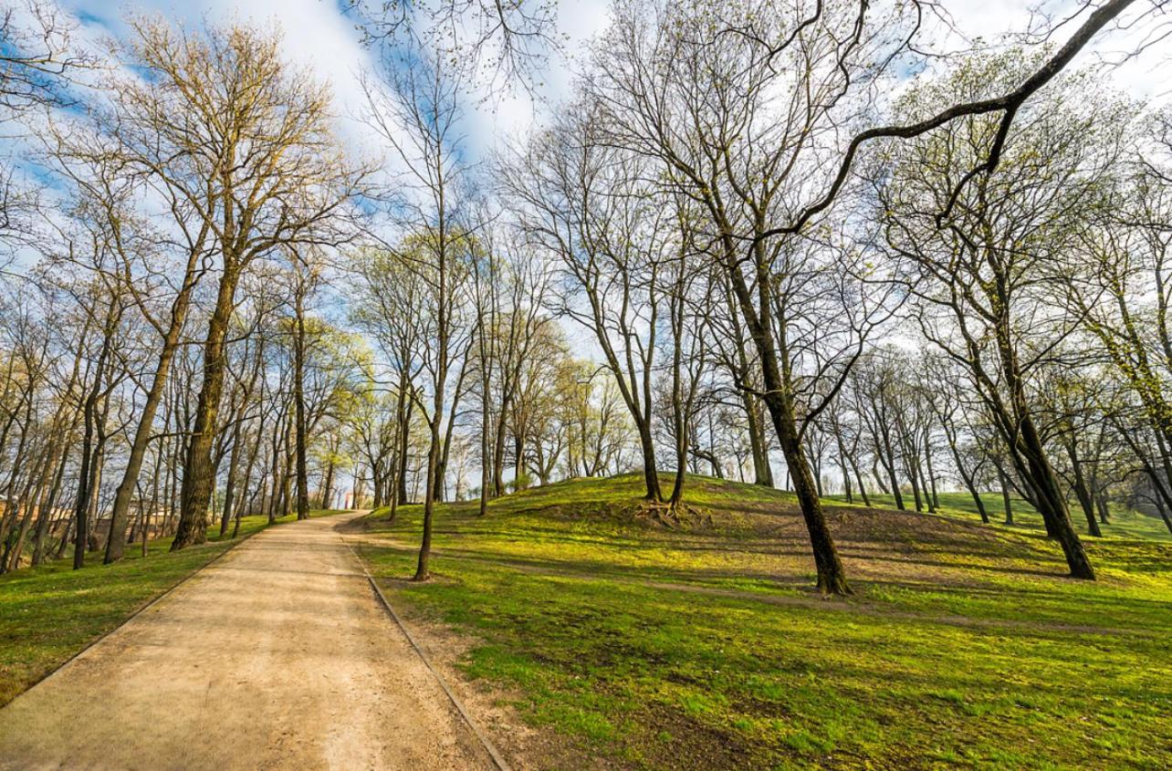 Your Cozy Family-friendly Flat In Vibrant Riga