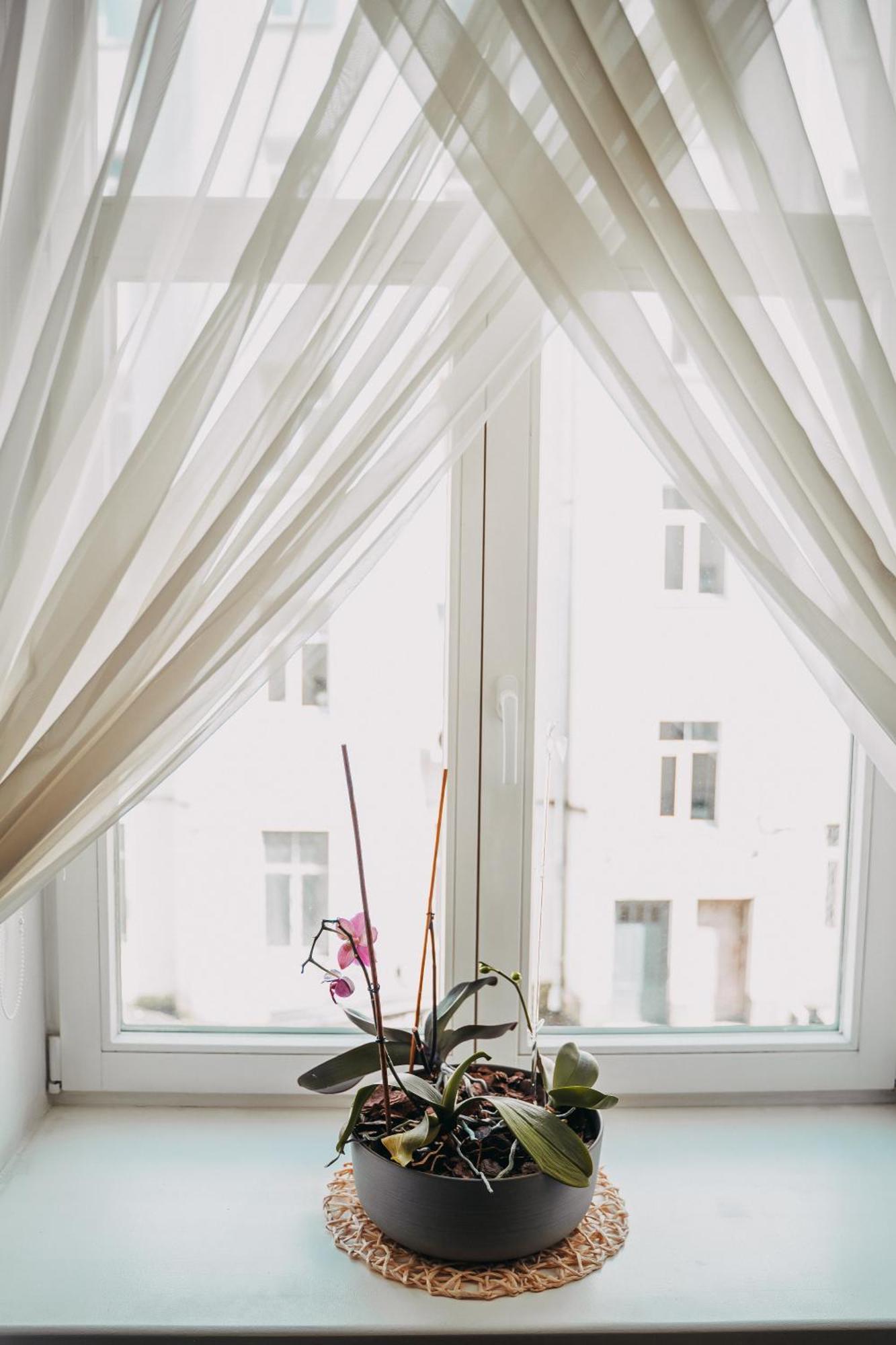 Apartment Family Apartment In Riga Center And Free Parking Riga