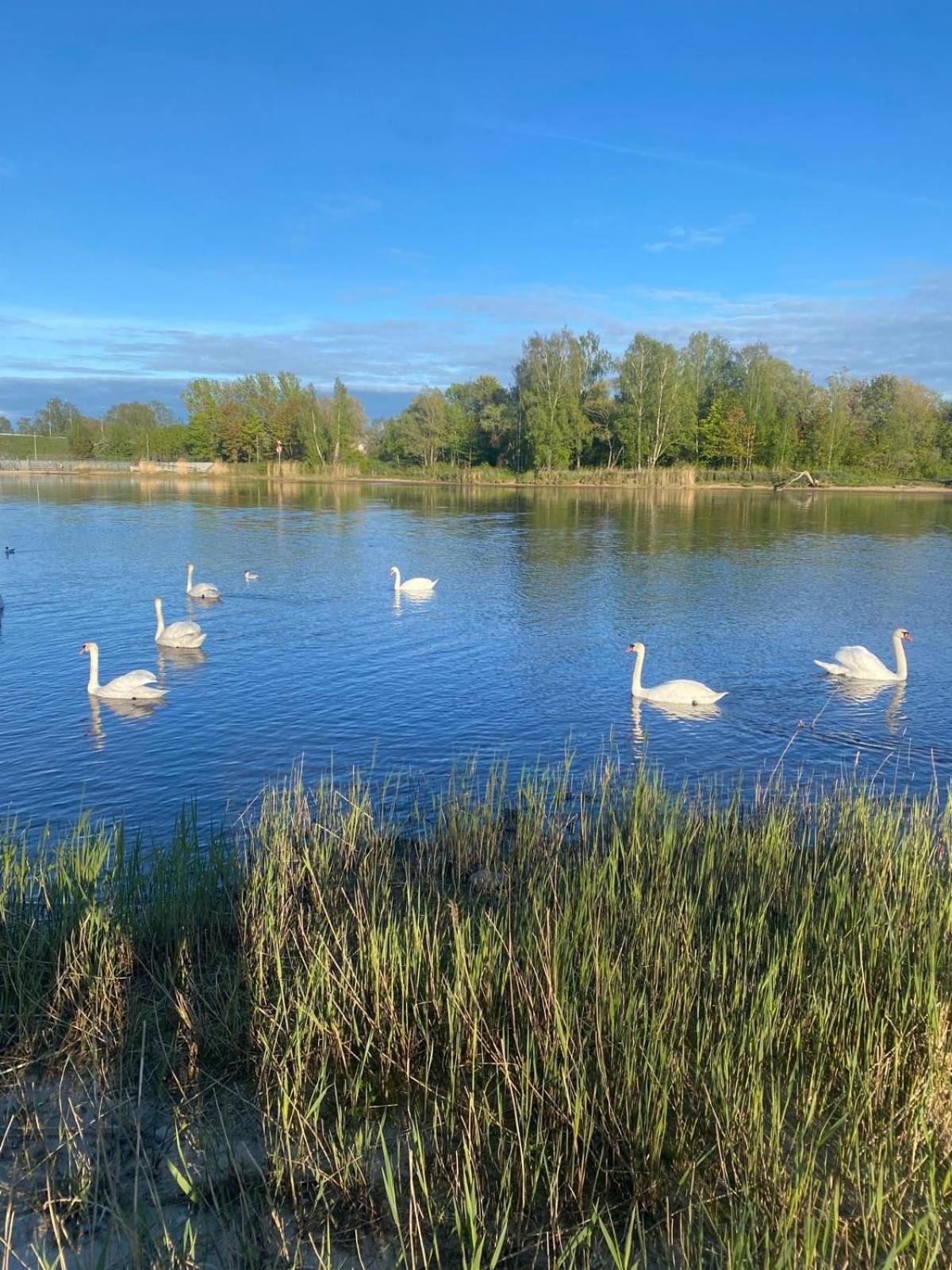 Cozy Family River View Flat Near The Seaside Dzīvoklis