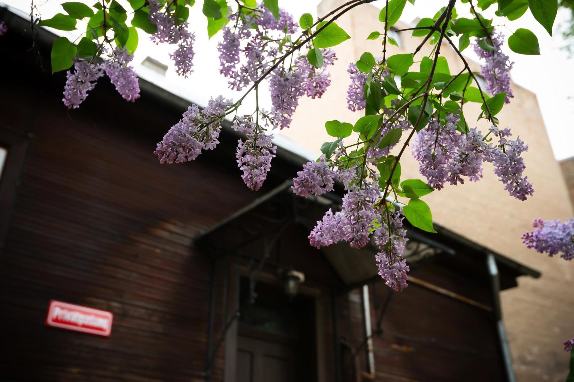 In The Heart Of Holiday home