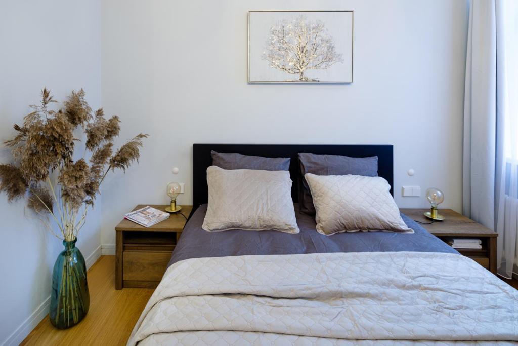 Apartment Kalnina Street
