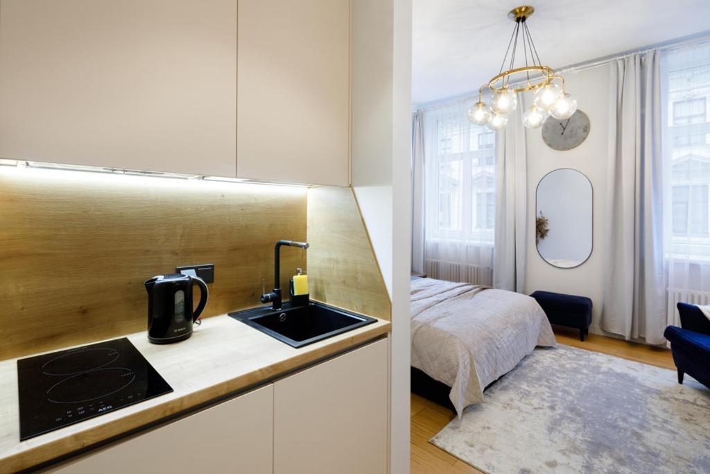 Apartment Kalnina Street *
