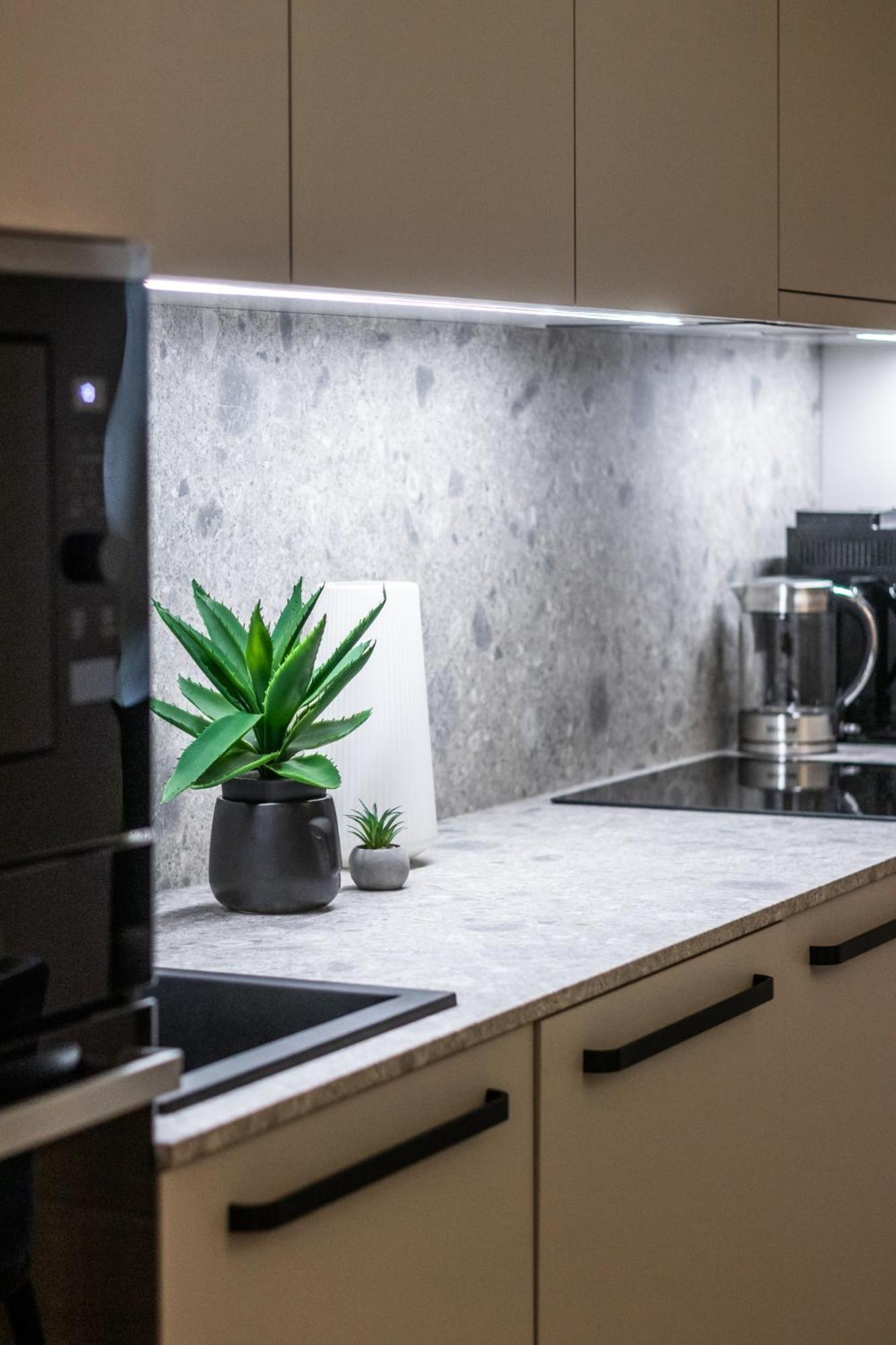 Terrific First-class In Town Center Apartment