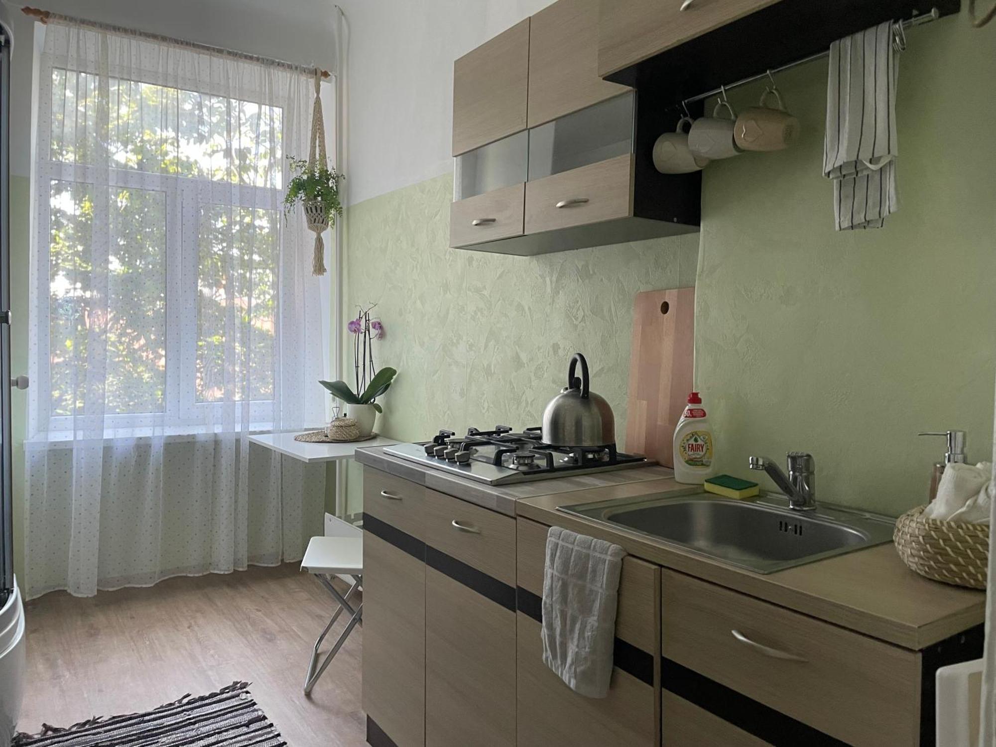 Sunny 1 Bedroom In Center Next To Park Apartment *