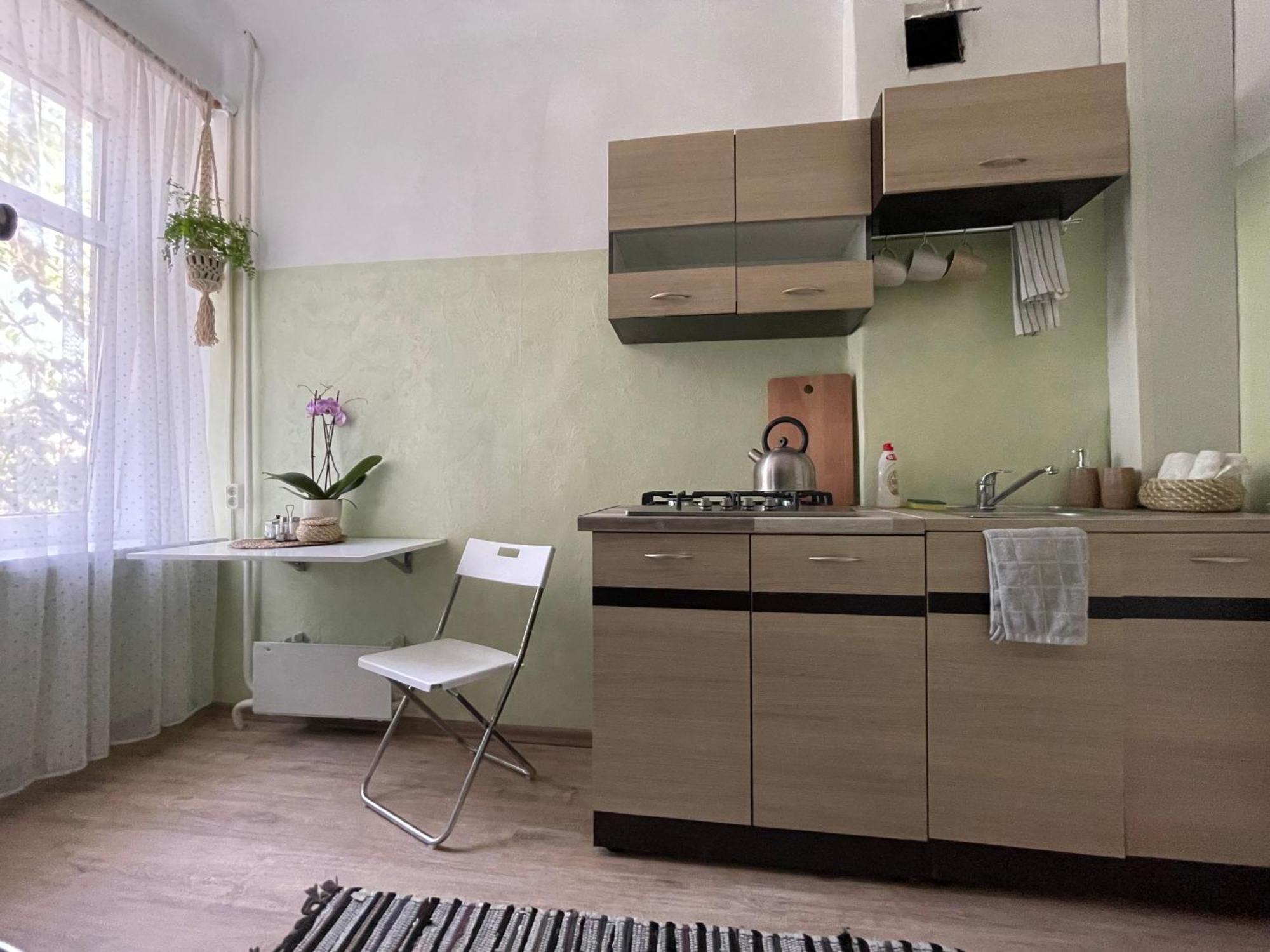 Sunny 1 Bedroom In Center Next To Park Apartment