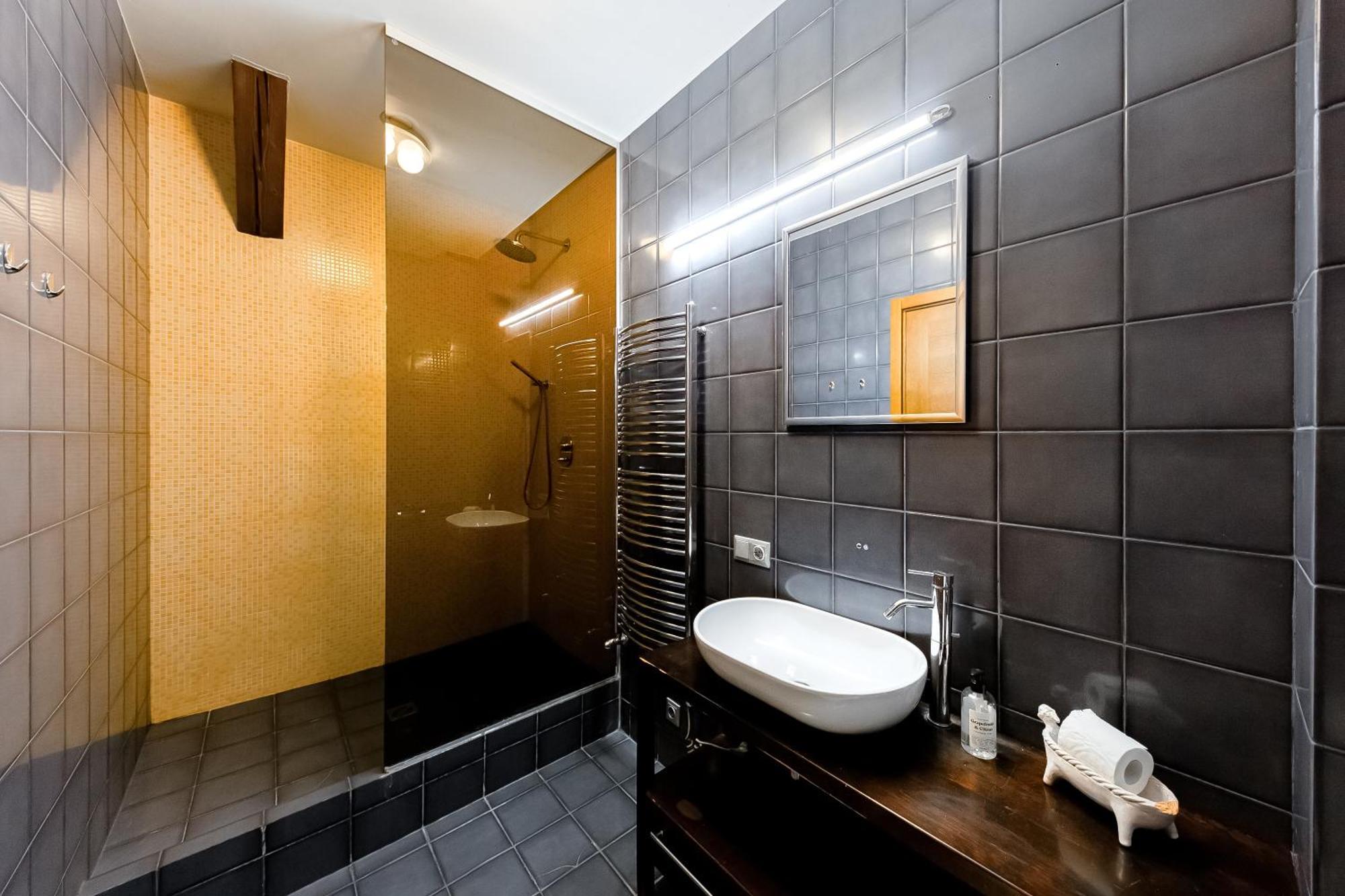 Stylish Mansard In Quite Center Riika