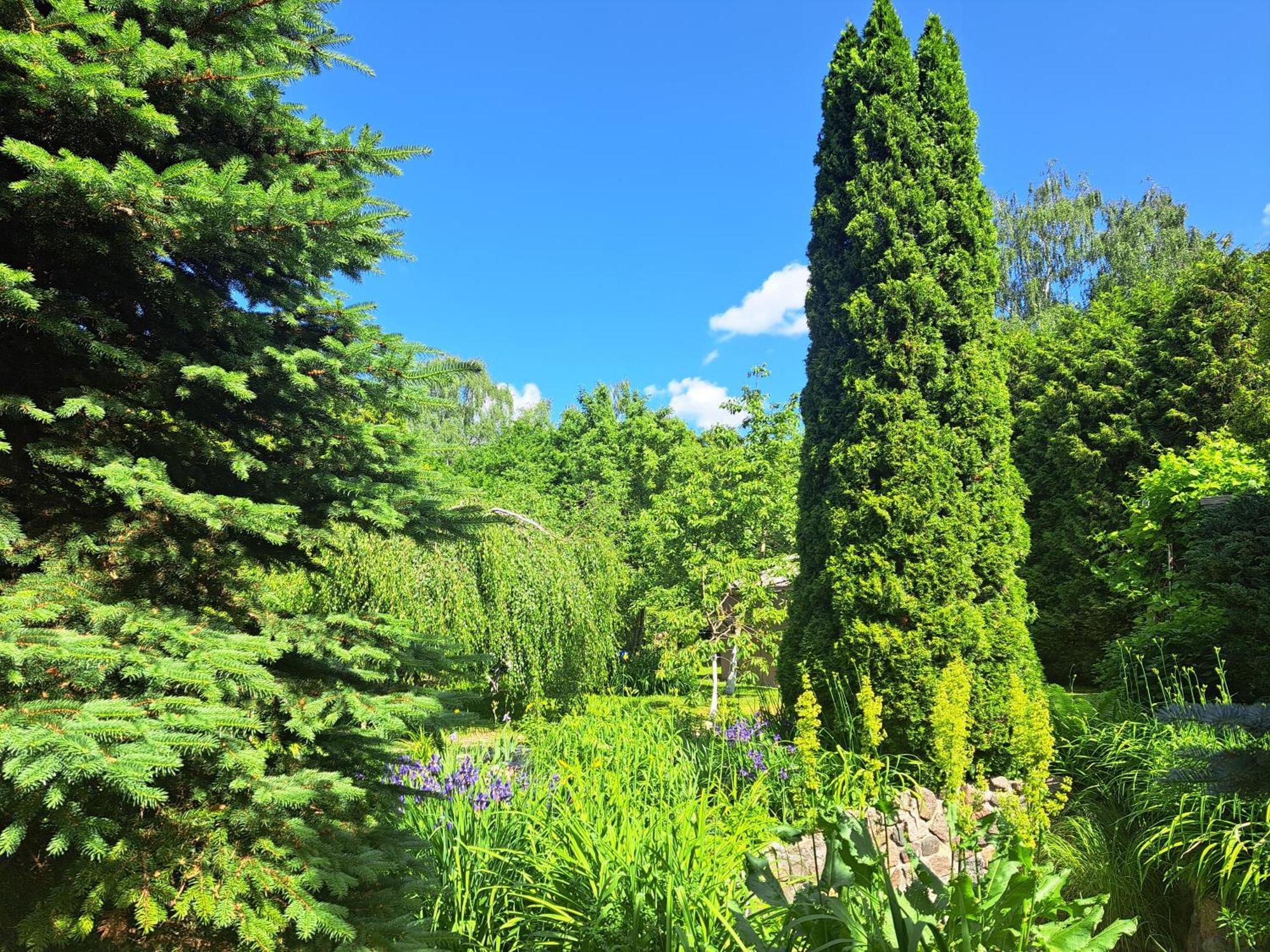 Champetre Park View *