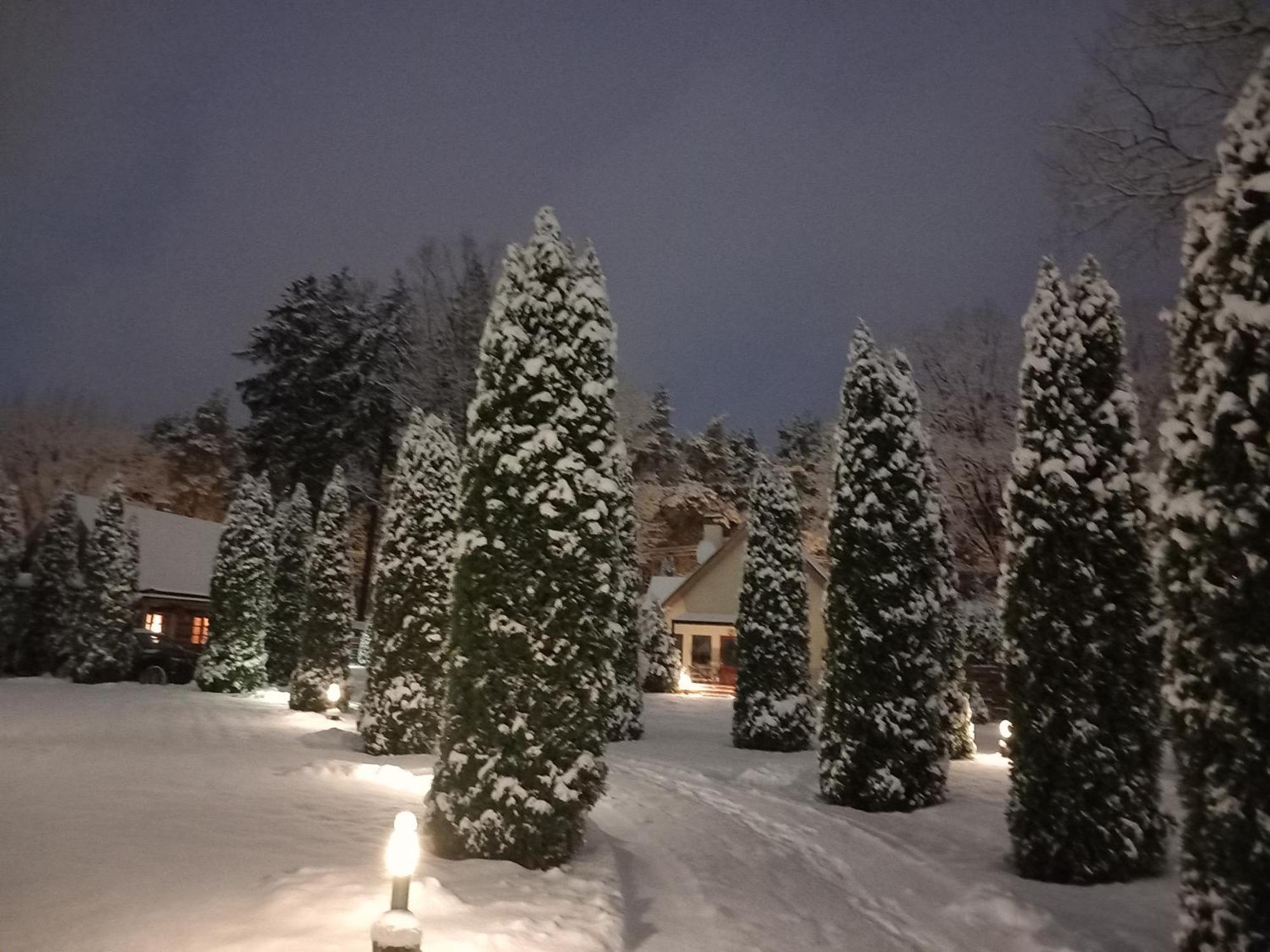 Forest Edge House Riga