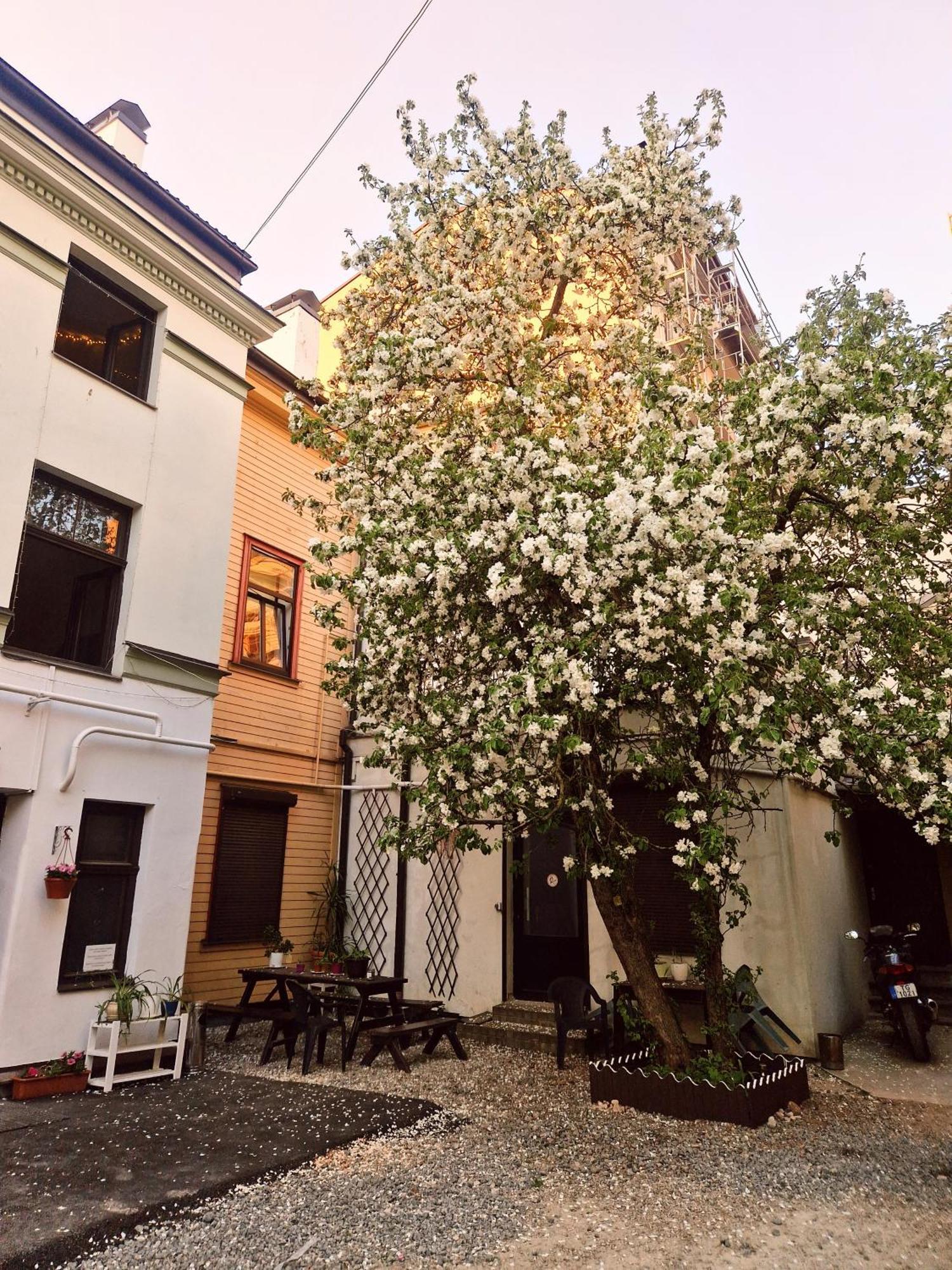 Central Hostel