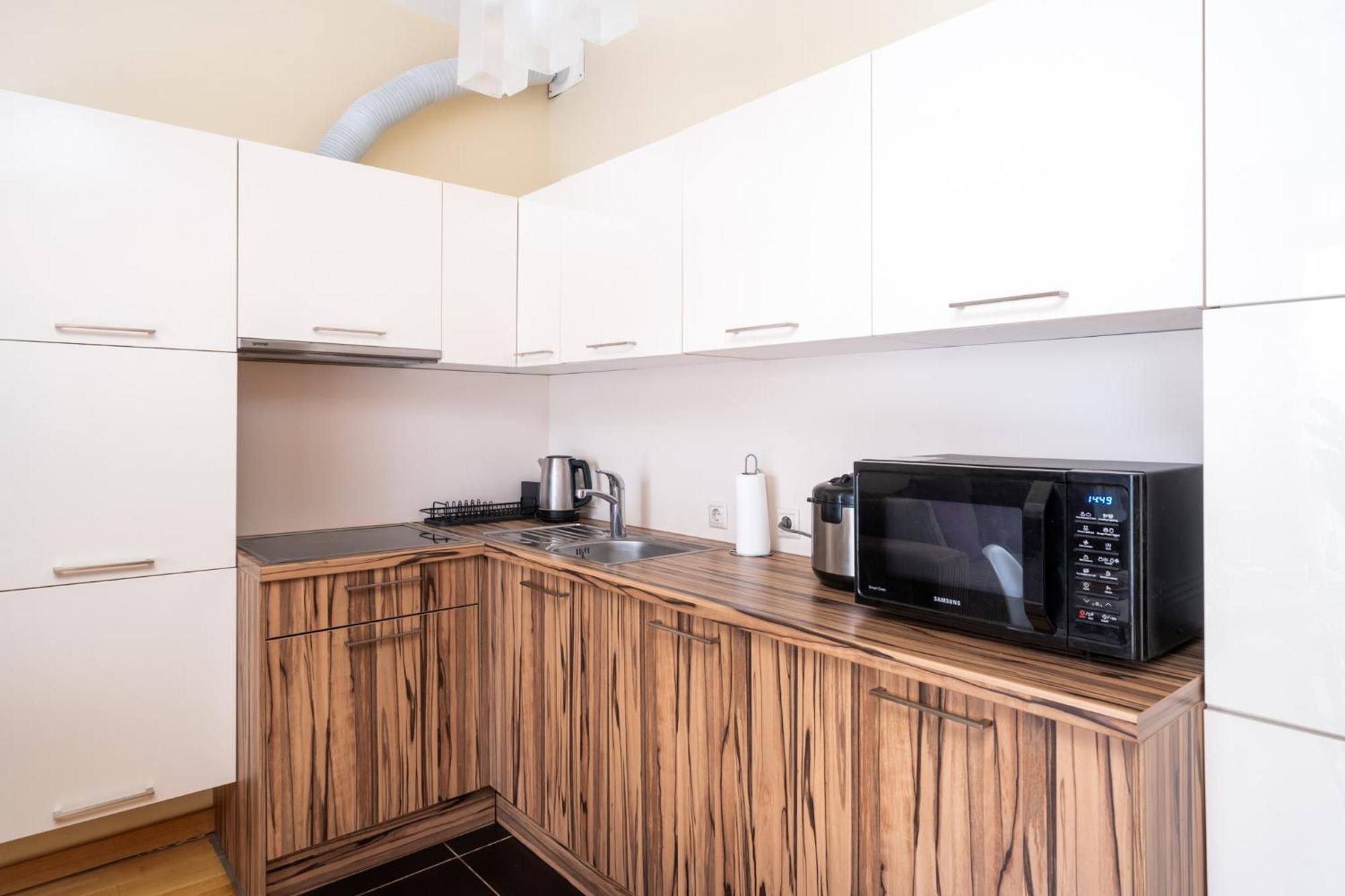 Apartment Spacious In A Park Zone With The Private Terrace Riga