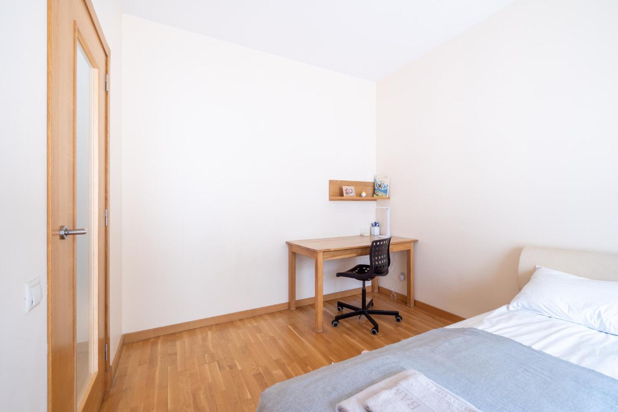 Spacious In A Park Zone With The Private Terrace * Riga