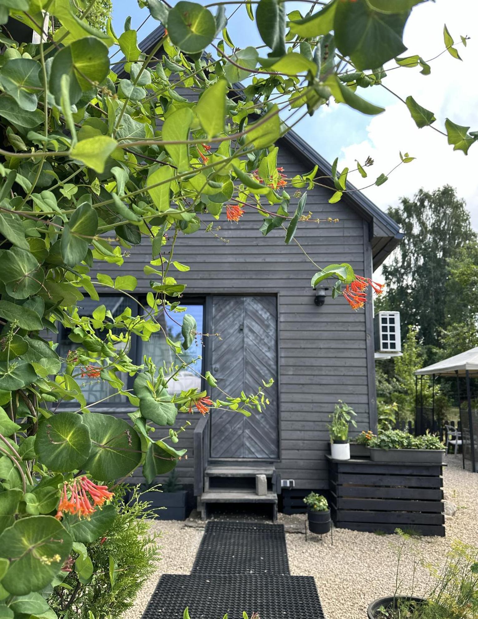 Amazing Little House On An Island With Garden