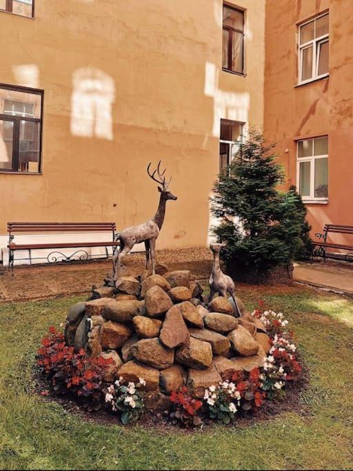 Apartment & Functional Riga