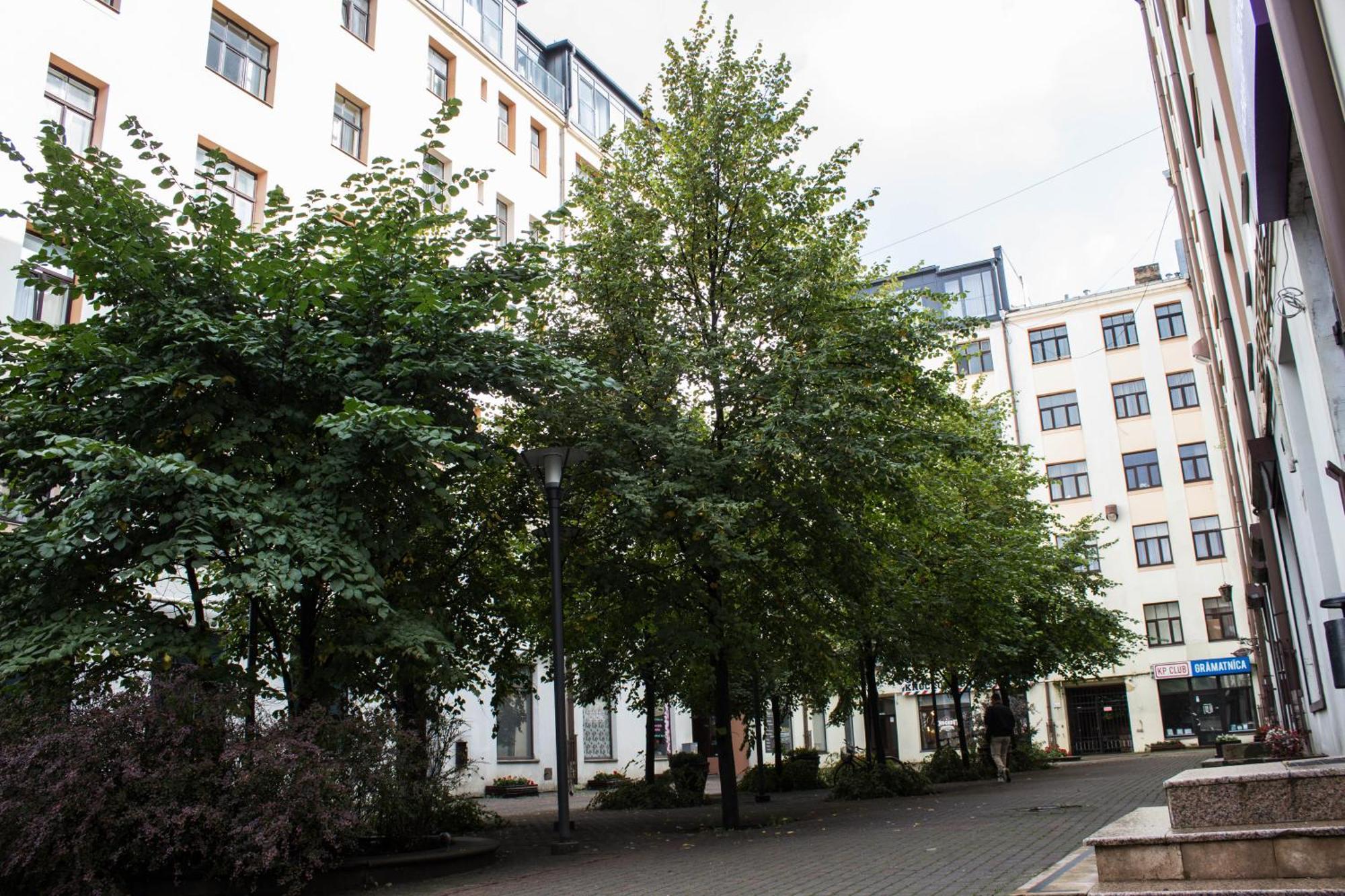 Oasis Apartment Riga