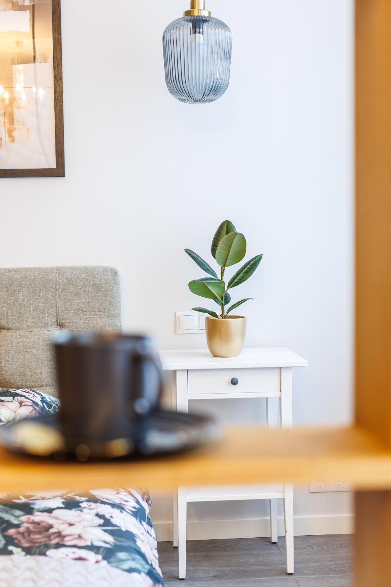 Apartment Oasis *