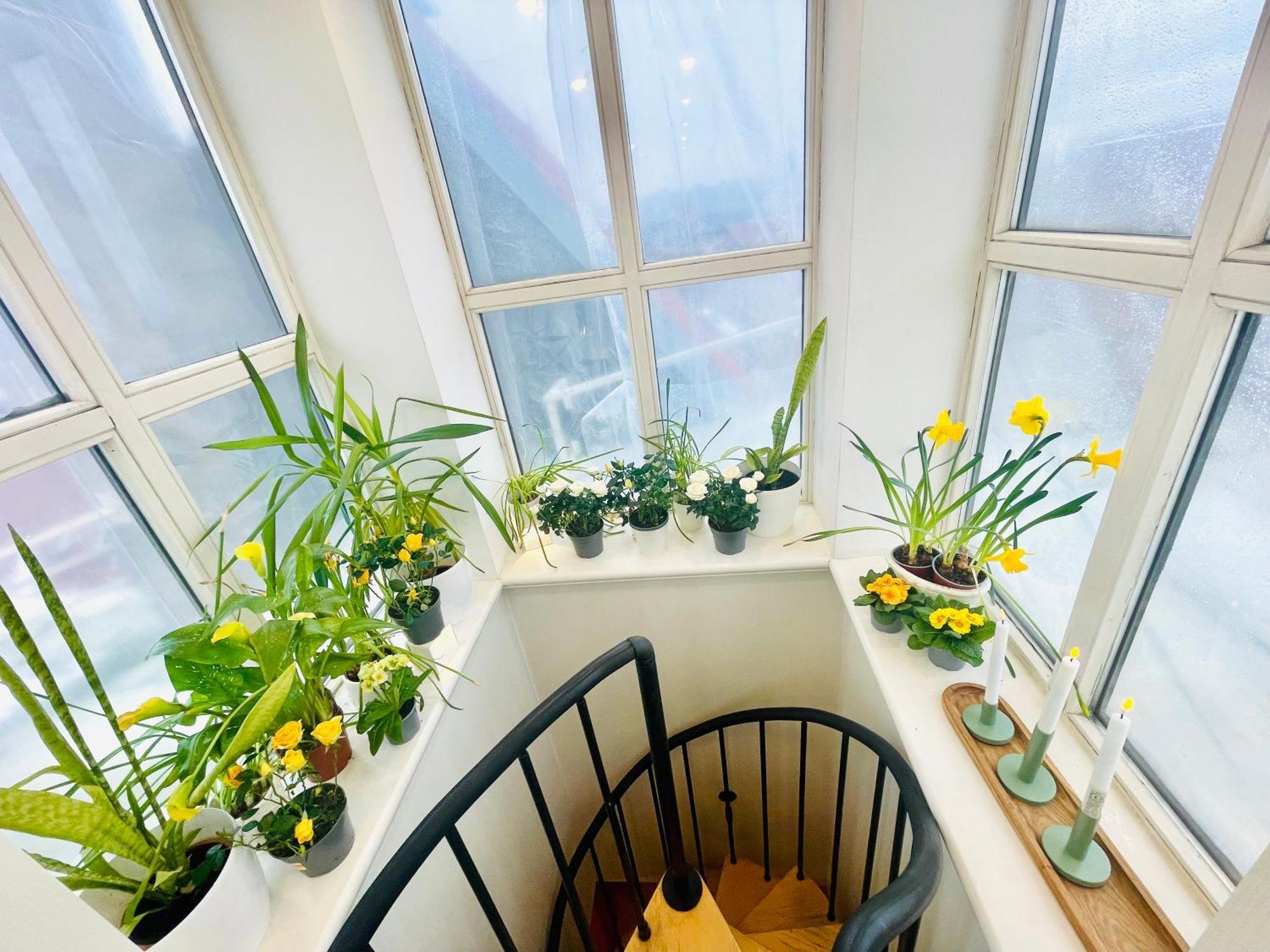 Apartment Penthouse With Private Rooftop