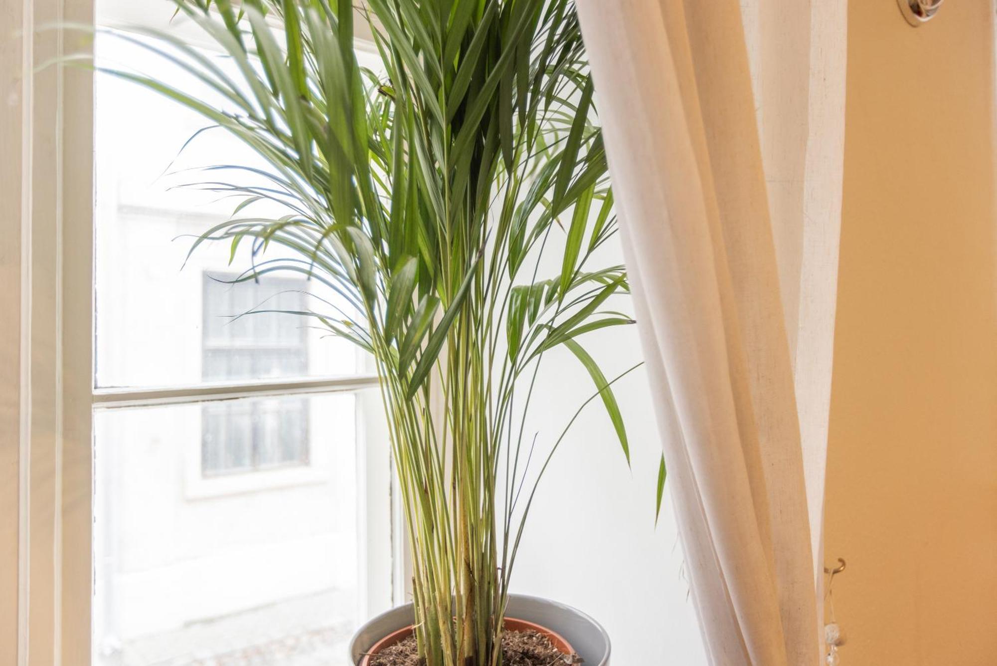 Large Vacation In The Old Town Appartement *