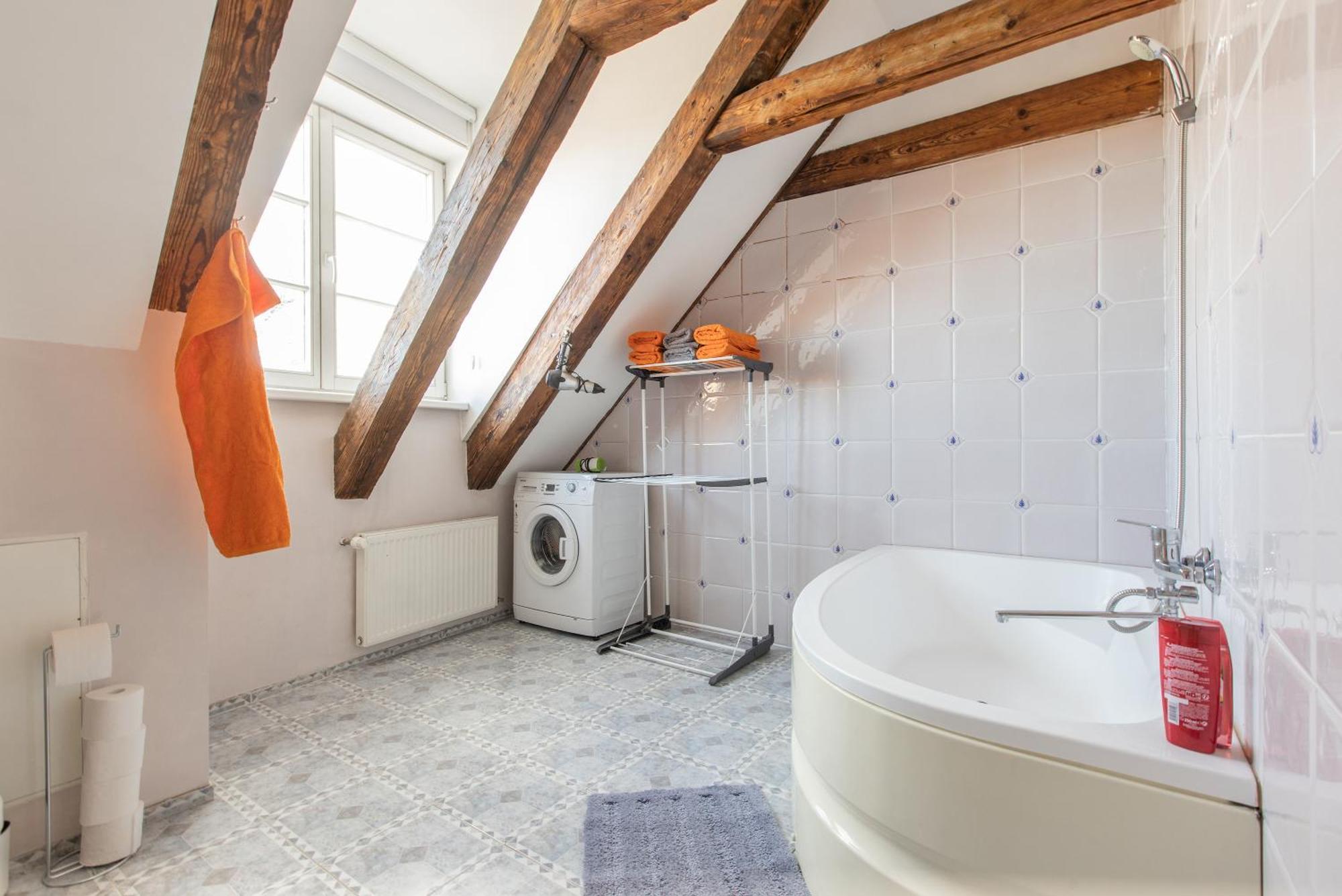 Mansard In Old Town Apartment