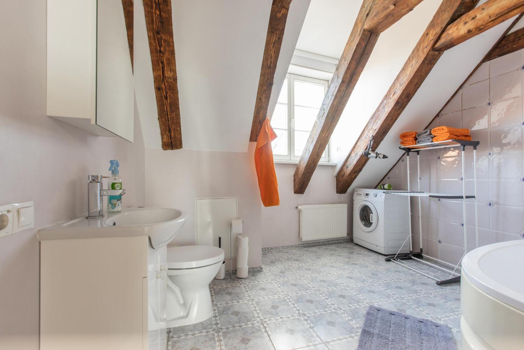 Apartment Mansard In Old Town