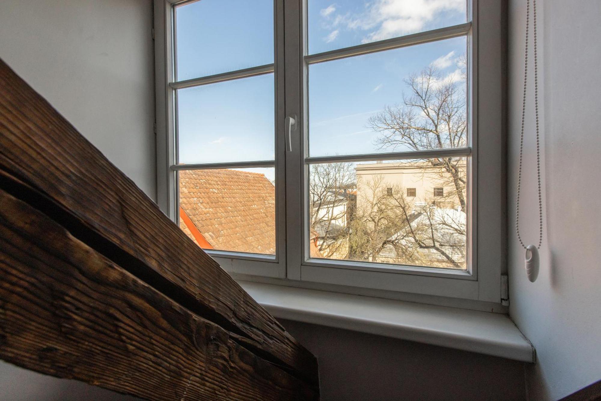 Mansard In Old Town Apartment