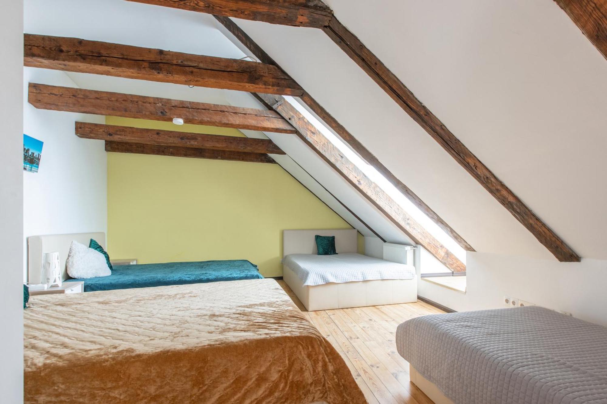 Apartment Mansard In Old Town *