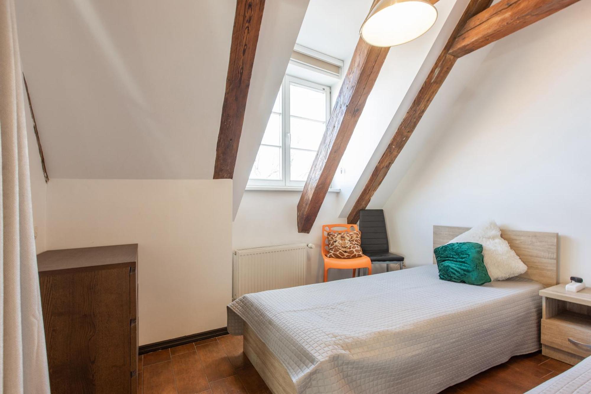 Apartment Mansard In Old Town *