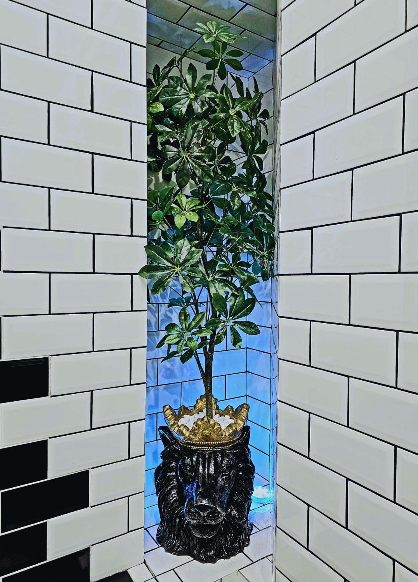 The Oasis - Heart Of Apartment Riga