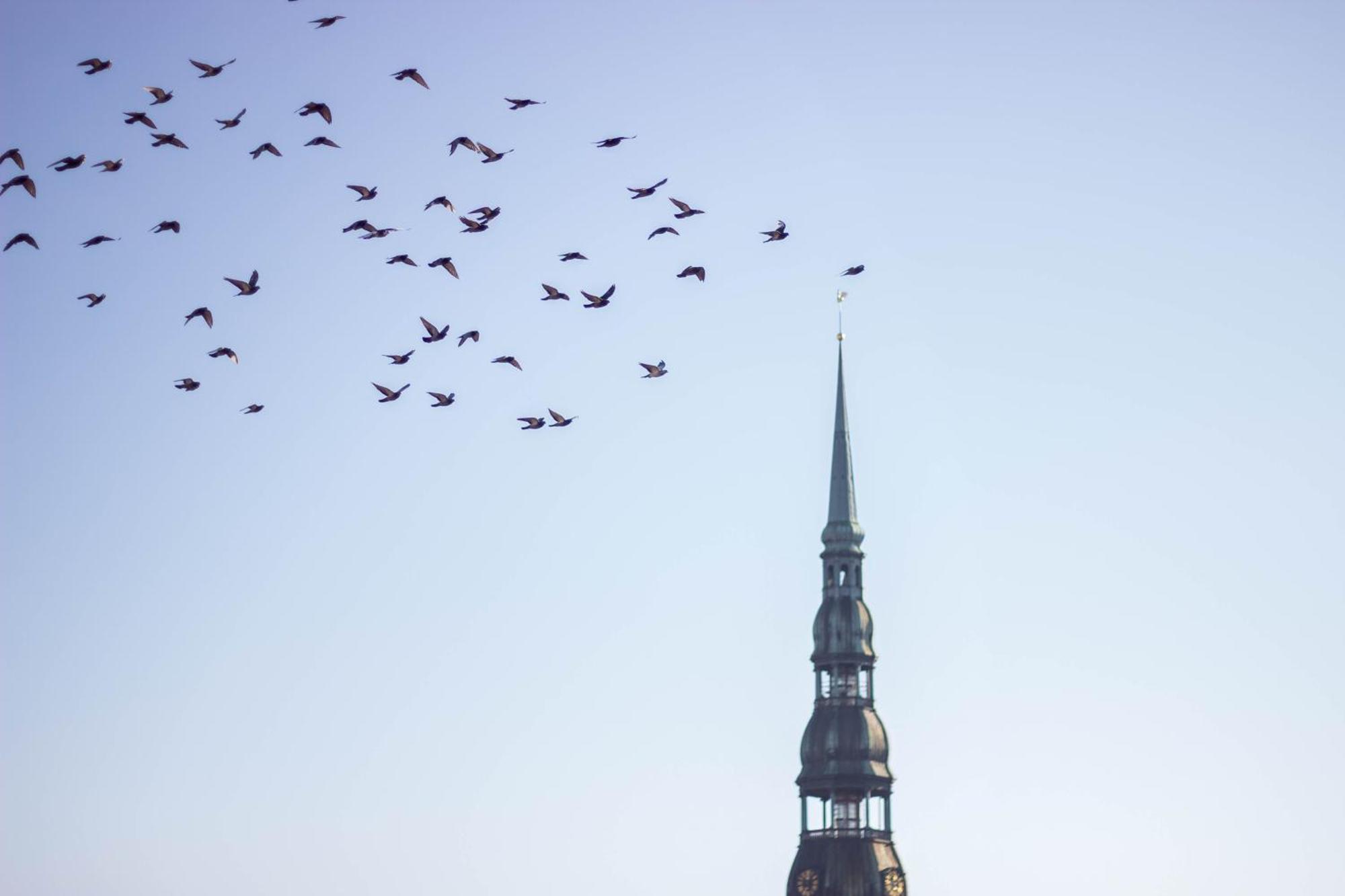 The Famous Latvians * Riga