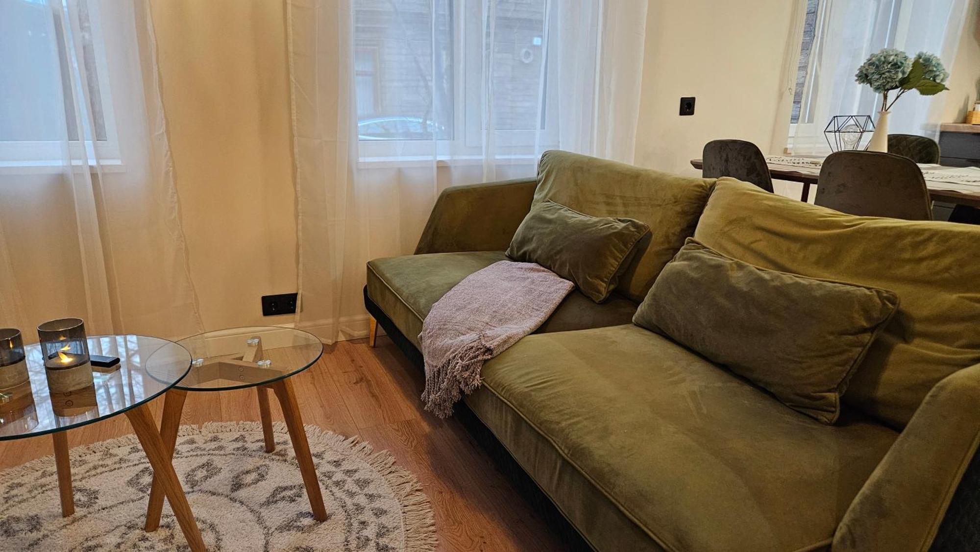 Cozy Cesu 13 Apartment2, Free Parking,self Check In *