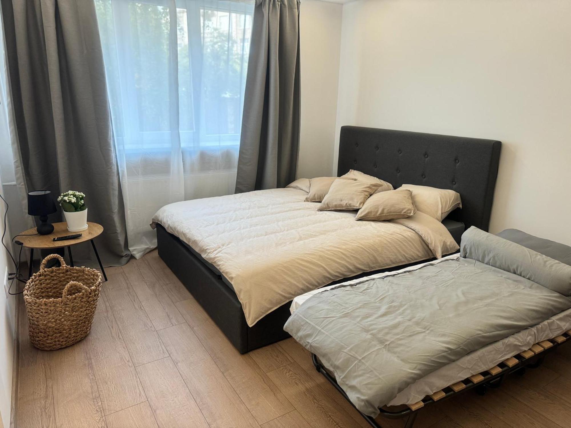 Apartment Comfy In *