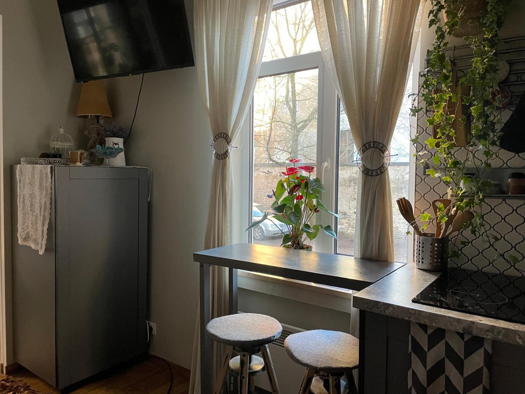 Pristine 1br In Center W/ Patio And Parking *