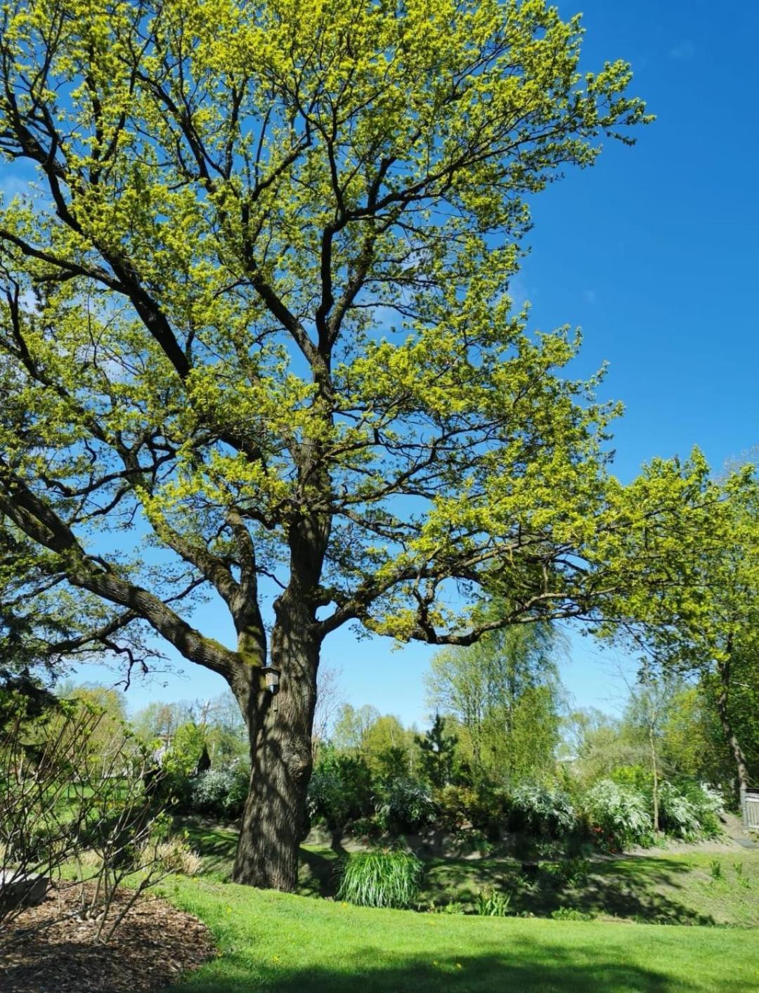 R9 Riga