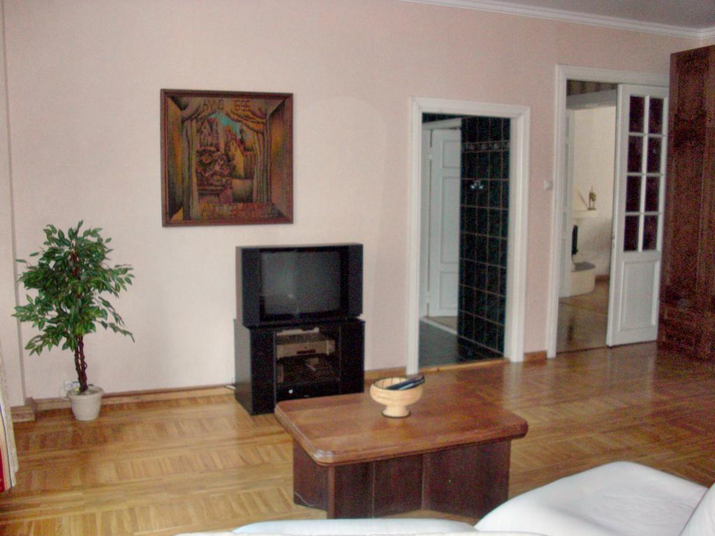 Sunny Grand Apartment By Old Town