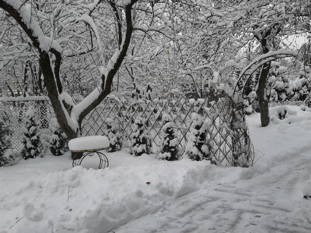 Volguntes Street