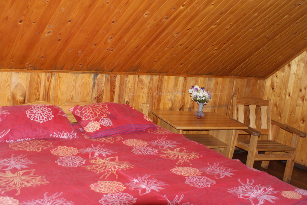 Holiday home Izbushka