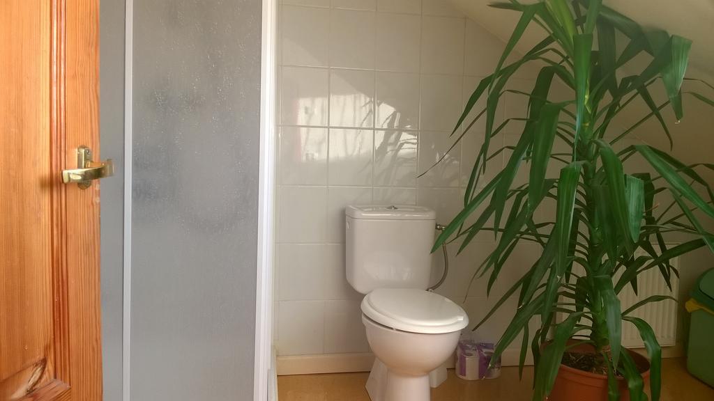 Cheap And Chic Apartment Riga