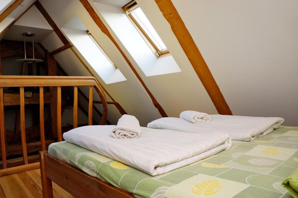 Hostel Doma