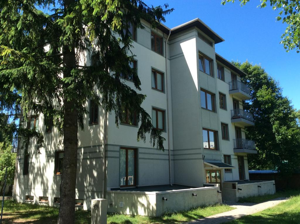 Apartment Maza Krumu 28