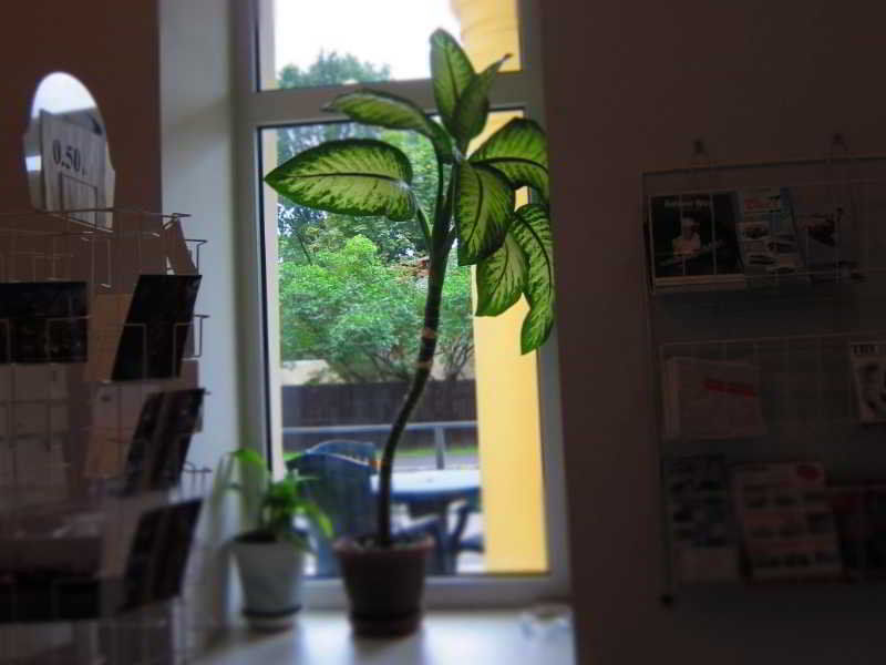 Hotel Vilmaja 3*
